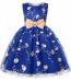 Sleeveless Mesh Embroidery Wholesale Girls Party Dresses-blue